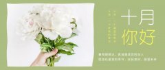 合作經(jīng)營(yíng)，共負(fù)盈虧，原您在最美的季節(jié)，收獲美好，展望未來